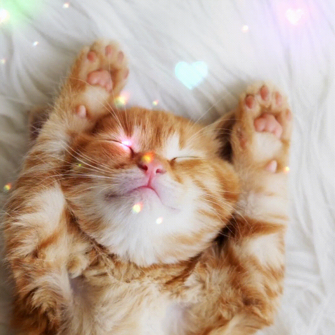 !   :)