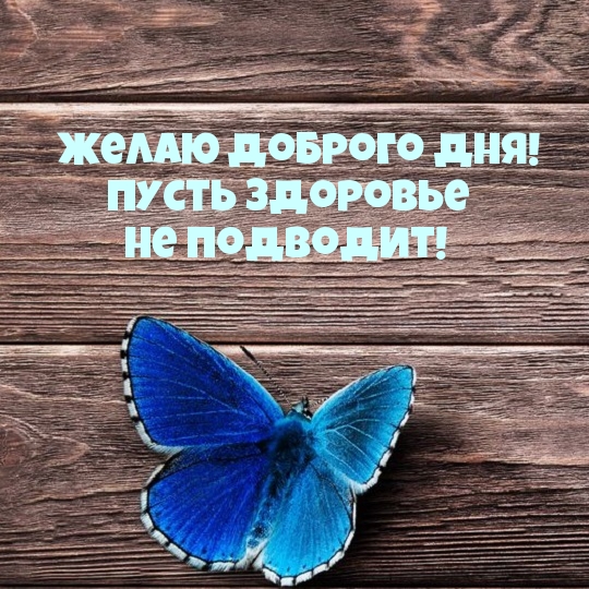   !    !