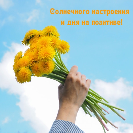 Открыть в полном размере Солнечного настроения и дня на позитиве!