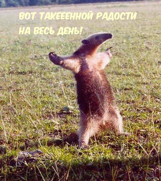      !