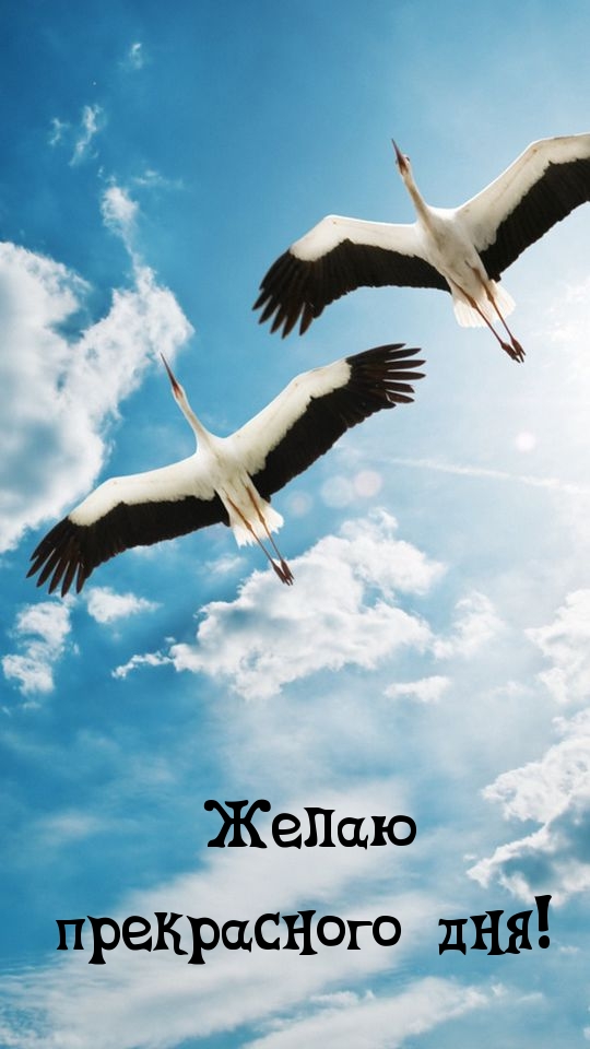   !