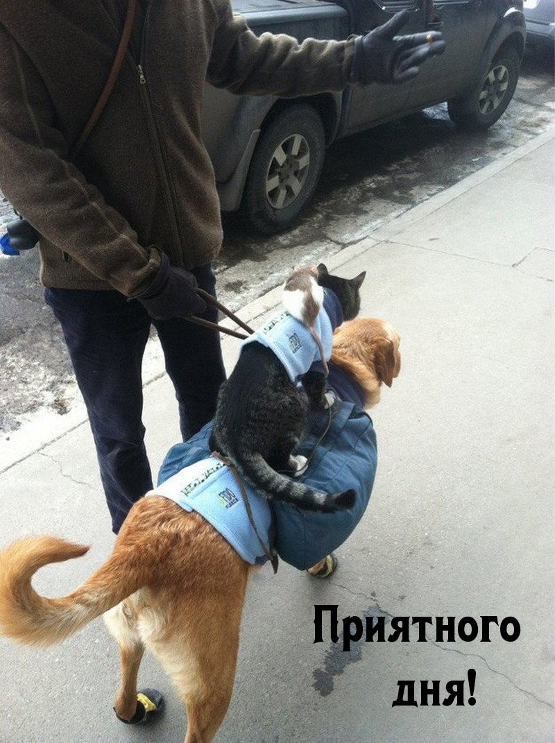 ��������� ���!