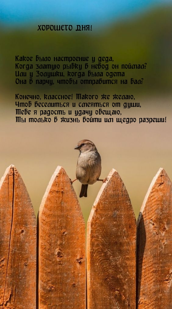  !      