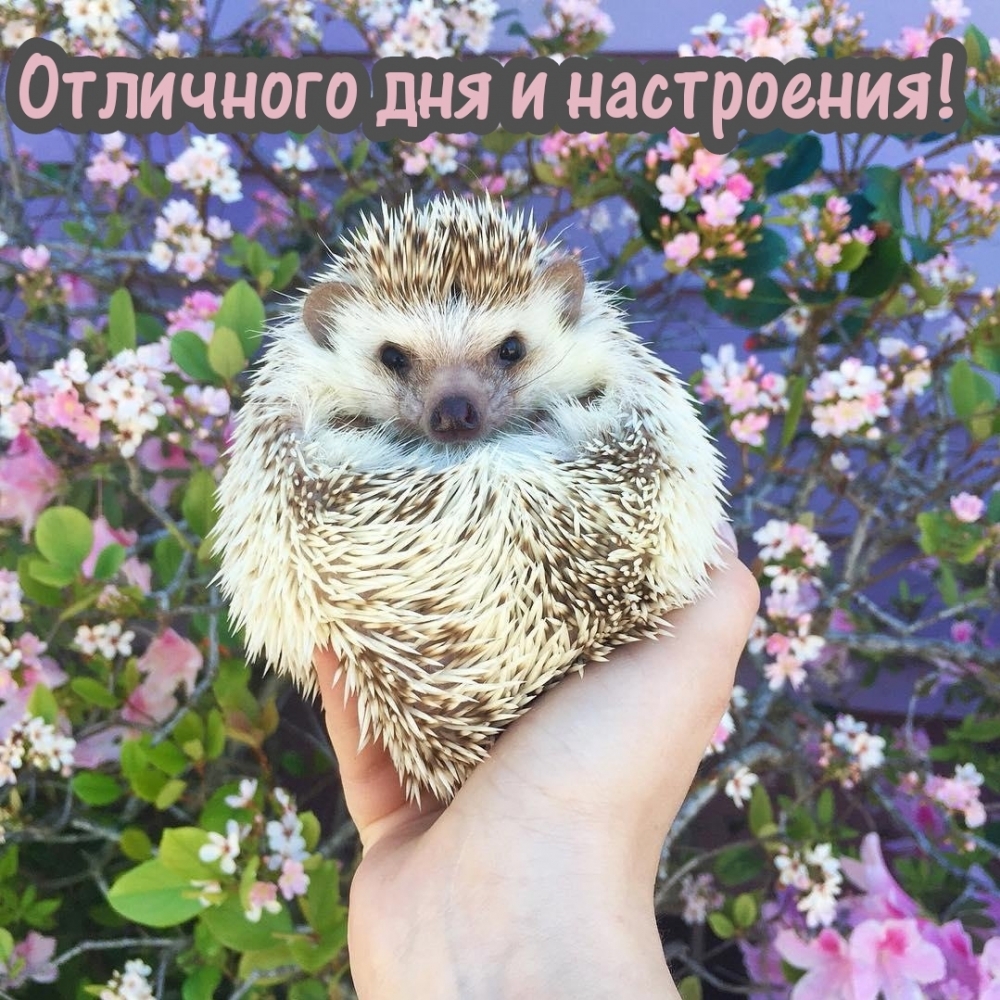    !