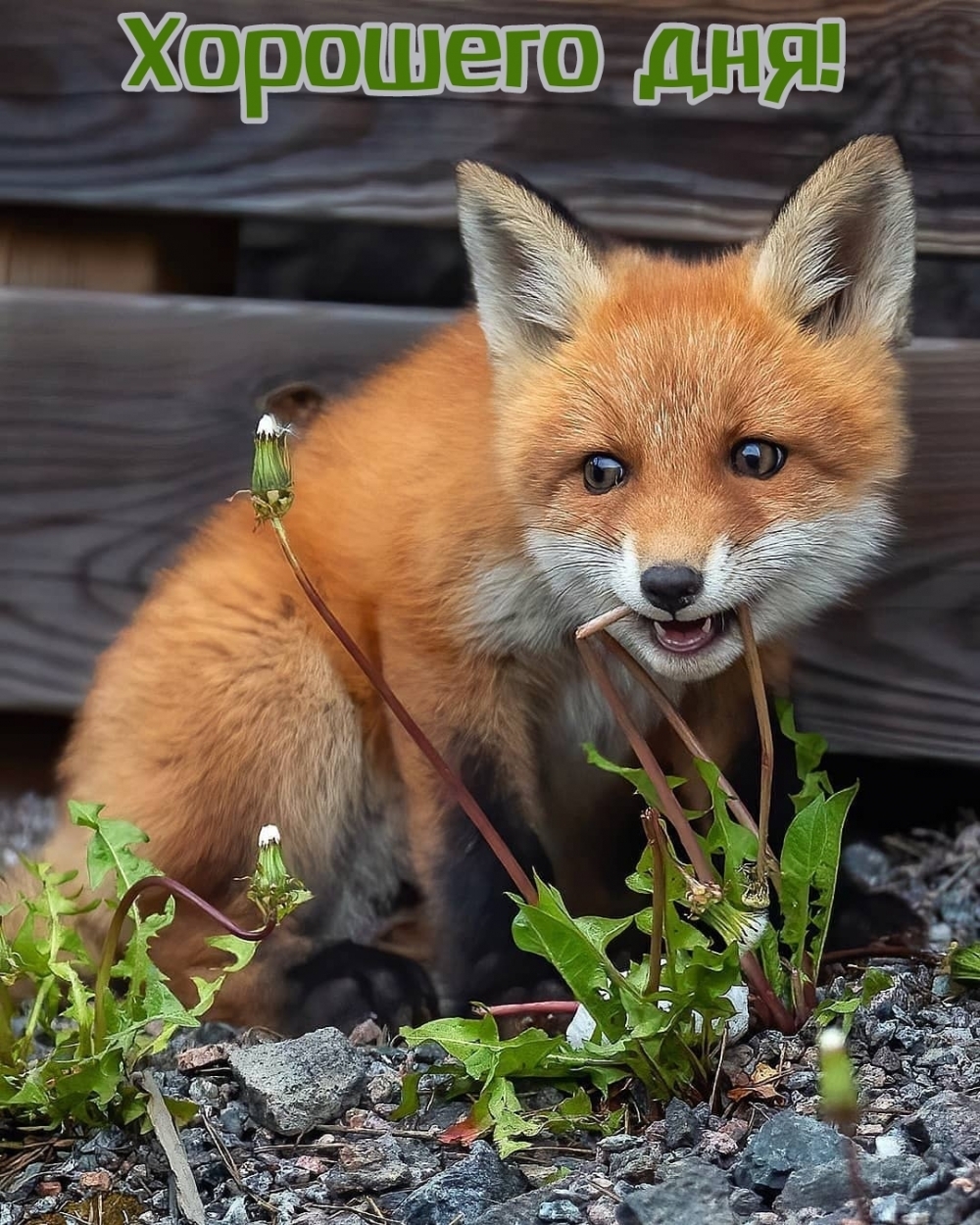 �������� ���!