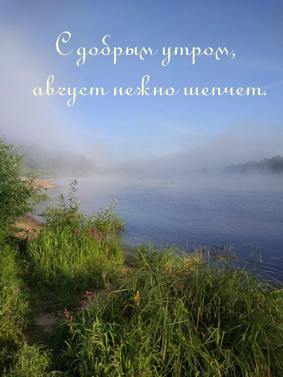 Доброе утро картинки красивые с природой летом