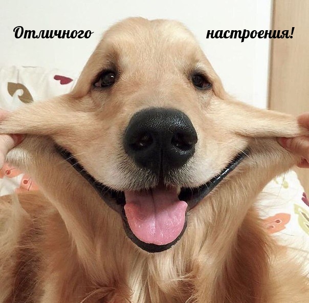  !