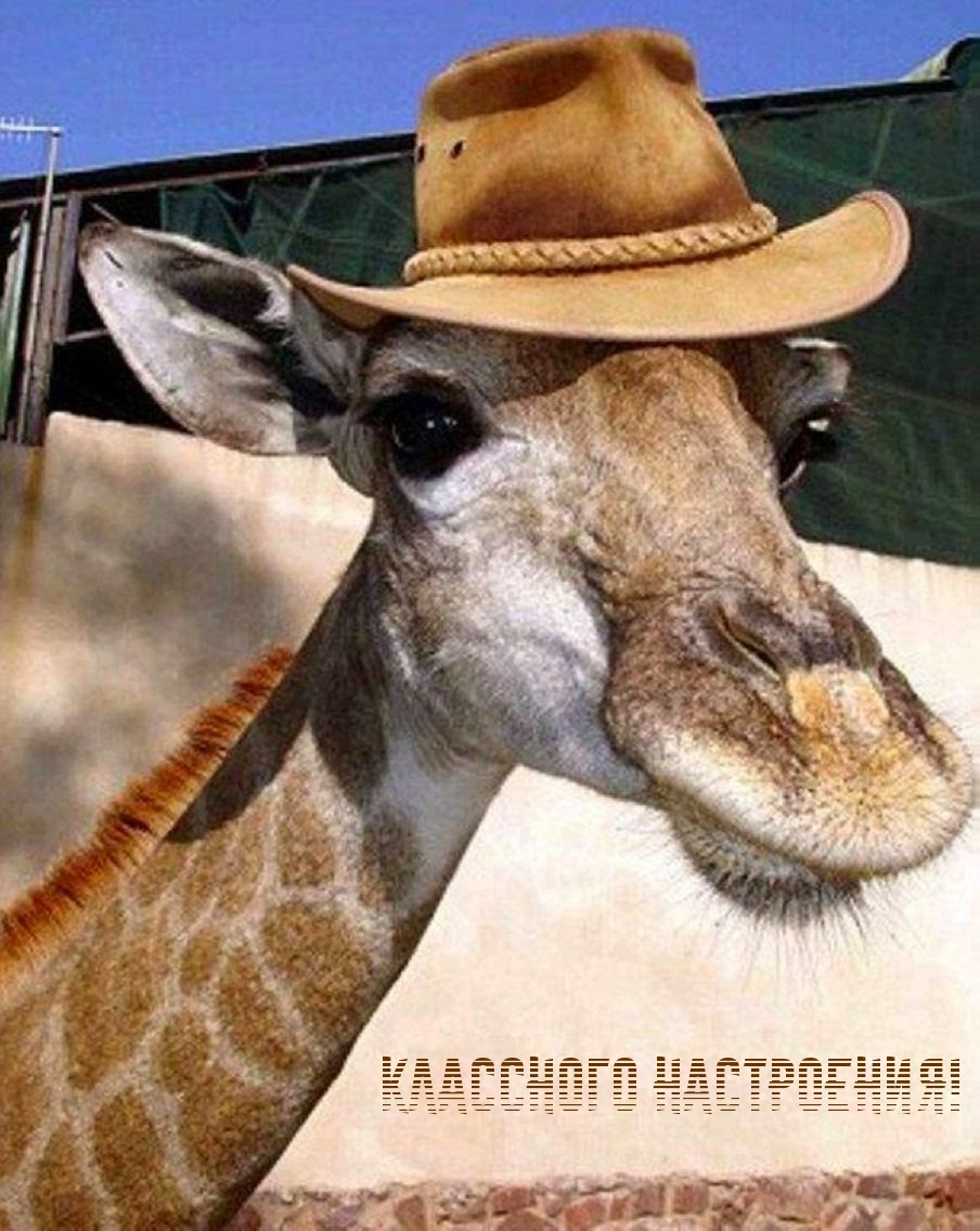 Классного настроения!