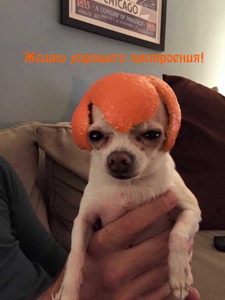   !