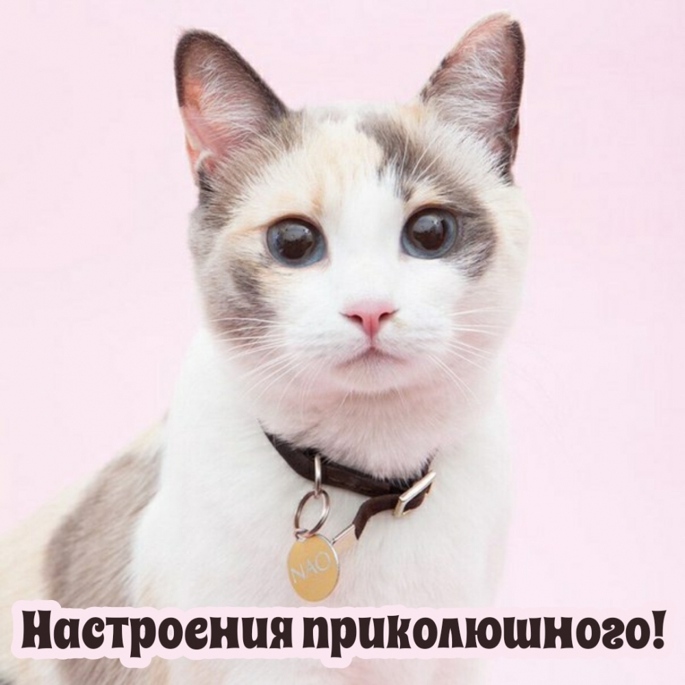  !