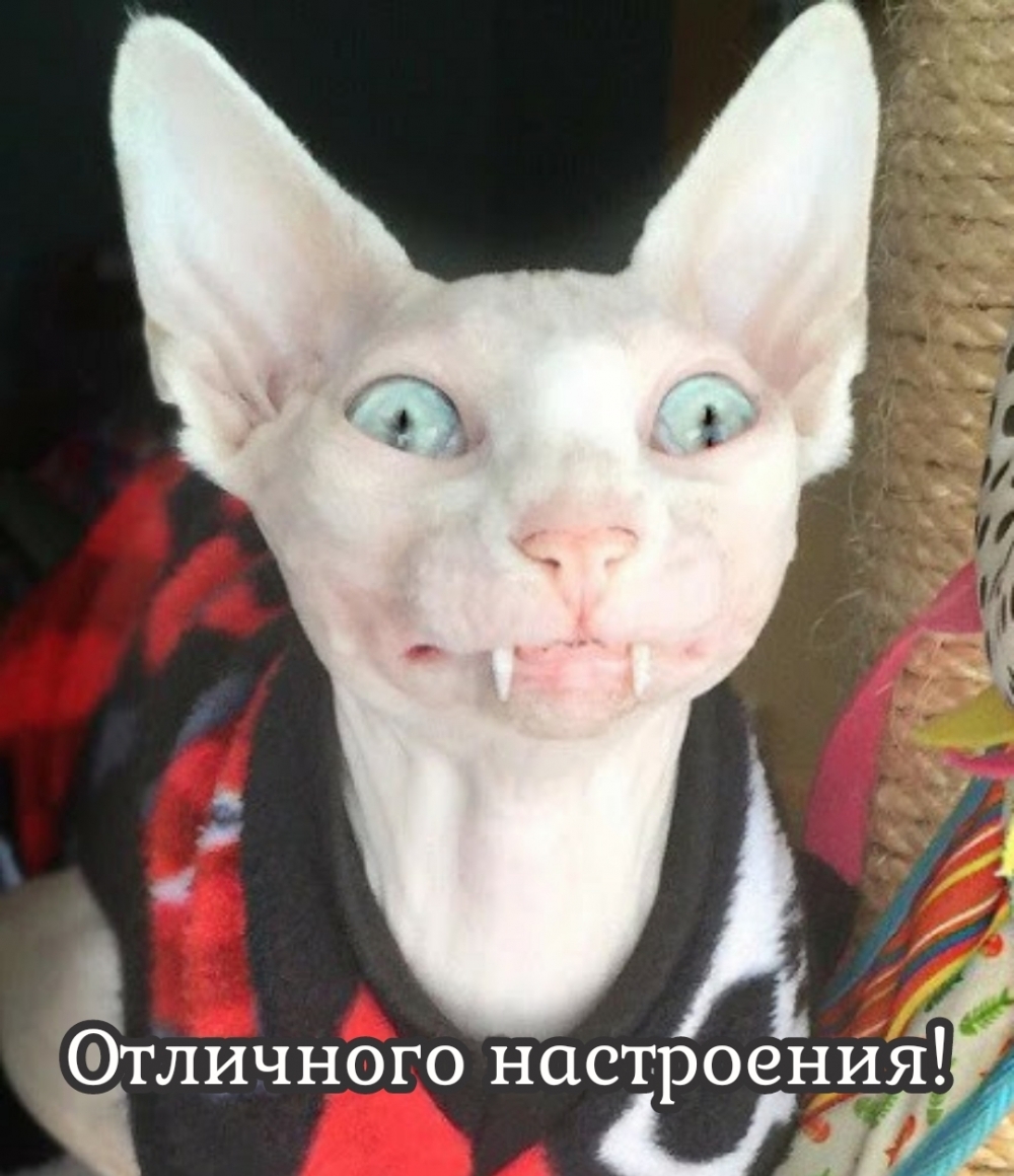  !