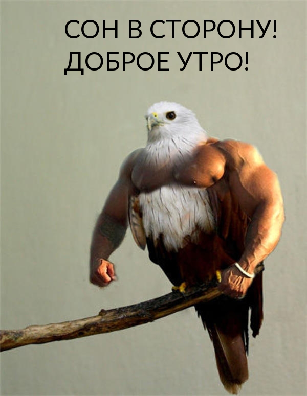   !  !