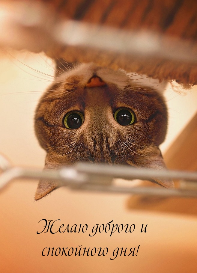 ����� ������� � ���������� ���!