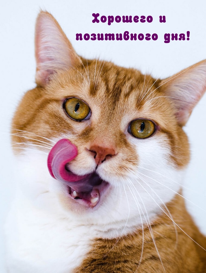 �������� � ����������� ���!