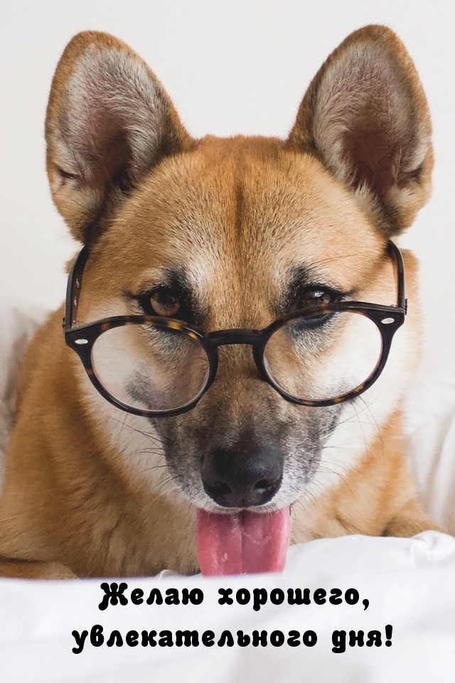 ����� ��������, �������������� ���!