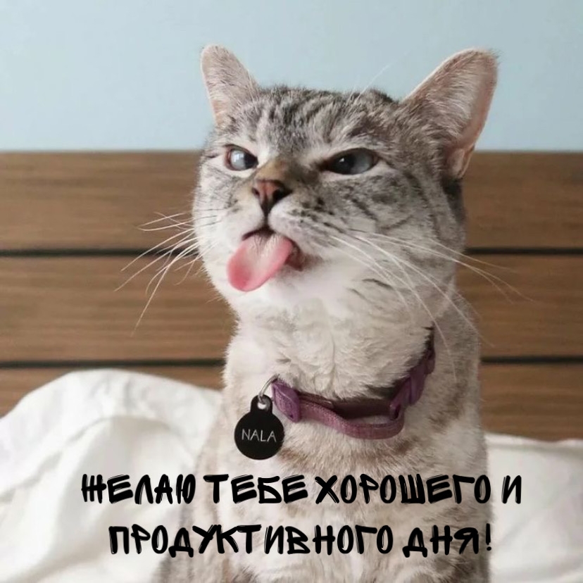 Желаю тебе хорошего и продуктивного дня!
