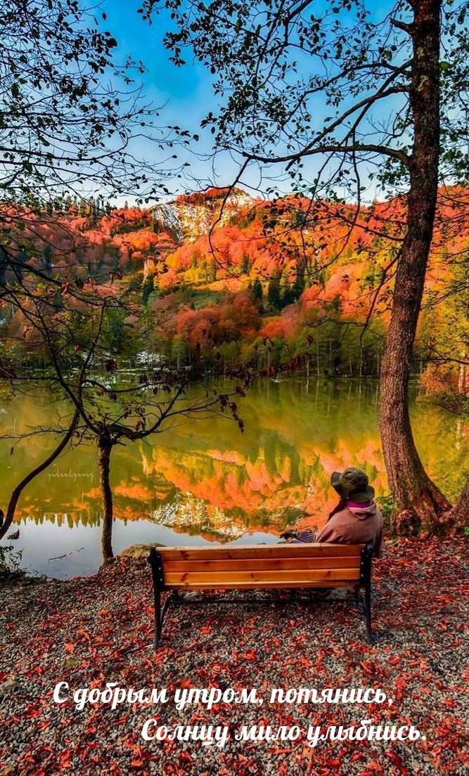 Осенняя Природа Фото Красивые С Добрым Утром