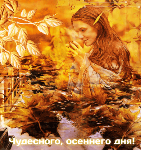 Чудесного, осеннего дня!  Чудесного, осеннего дня!