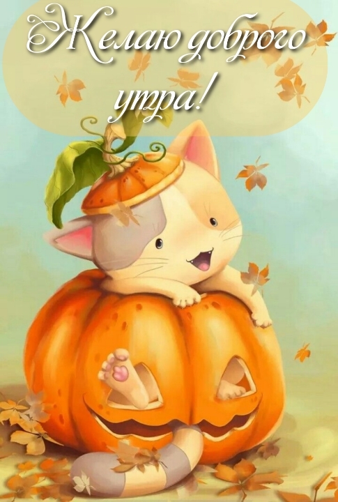   !