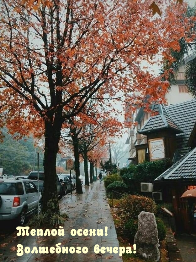 Теплой осени! Волшебного вечера! Теплой осени! Волшебного вечера!