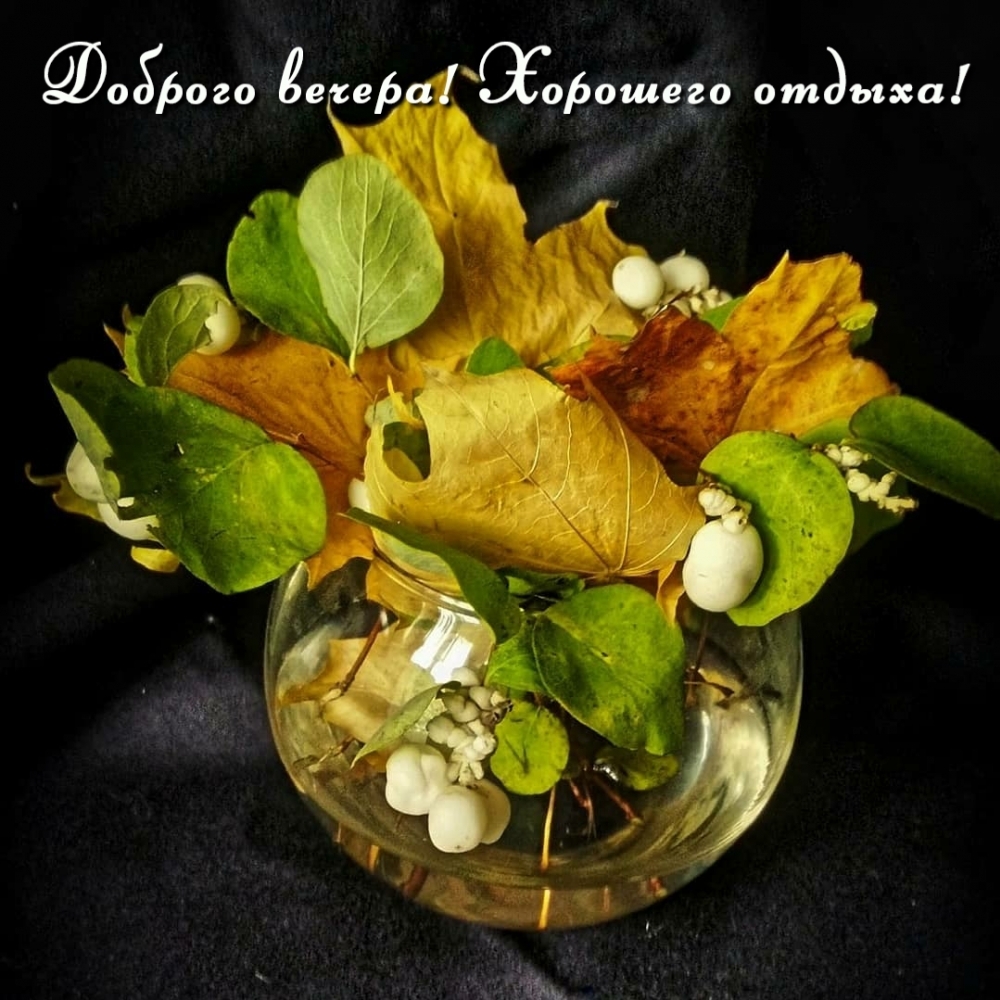 Открыть в полном размере Доброго вечера! Хорошего отдыха!