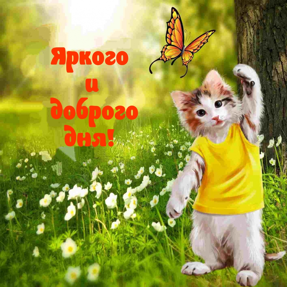 Яркого и доброго дня!