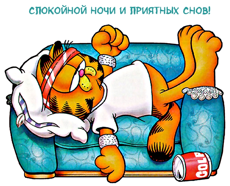 Спокойной ночи и приятных снов!