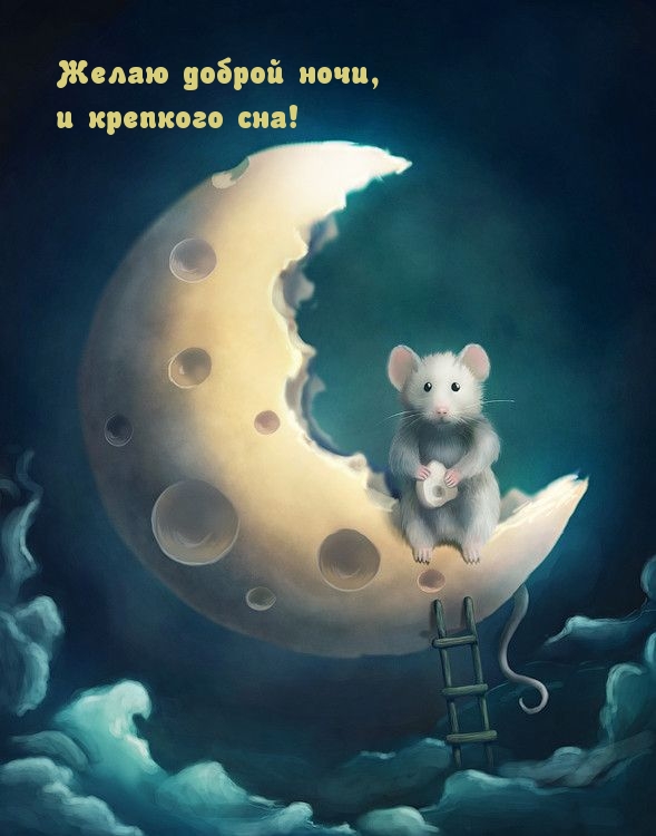 Желаю доброй ночи, и крепкого сна! Желаю доброй ночи, и крепкого сна!