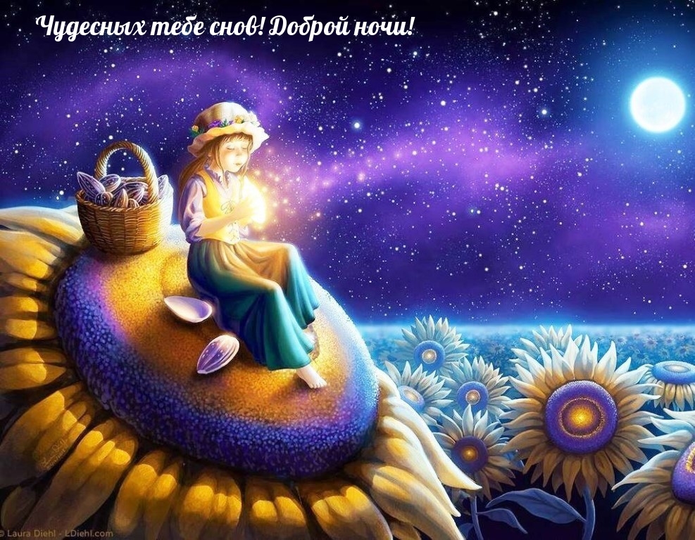 Чудесных тебе снов! Доброй ночи! Чудесных тебе снов! Доброй ночи!