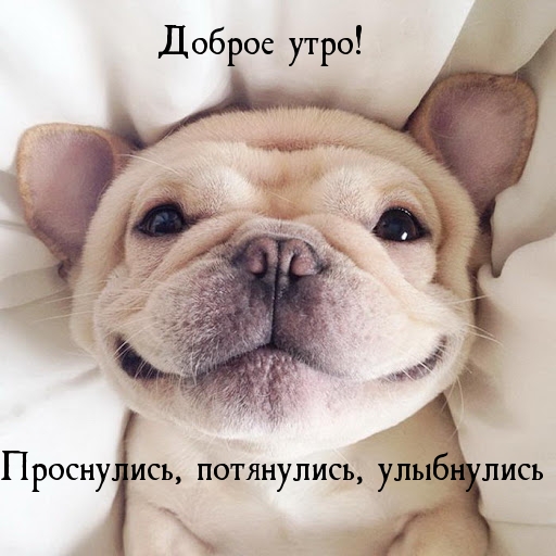 dobrogoutra_ru_3550.jpg
