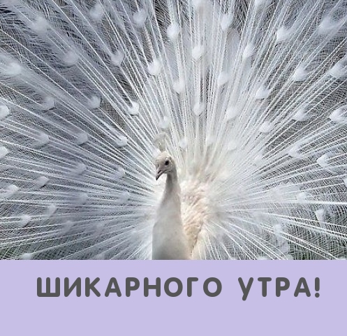  !