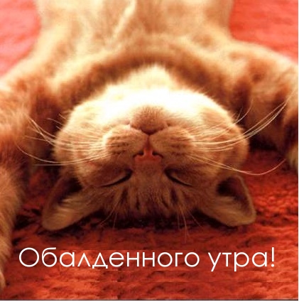 Открыть в полном размере Обалденного утра!