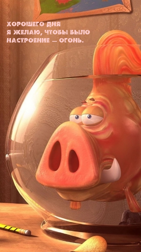 �������� ��� � �����, ����� ���� ���������� � �����.