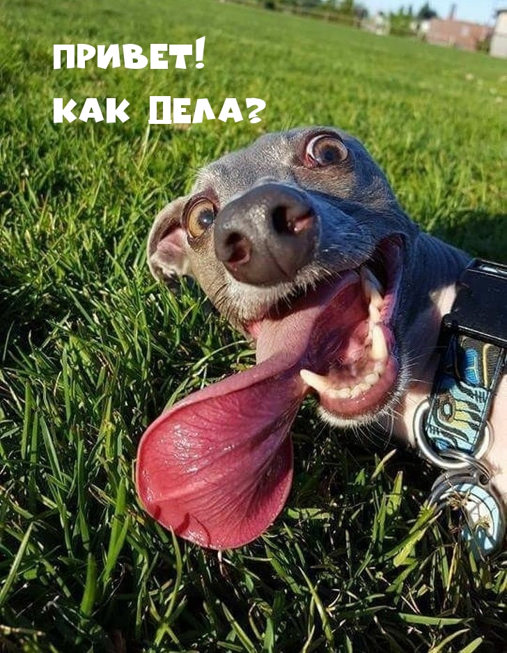 !  ?
