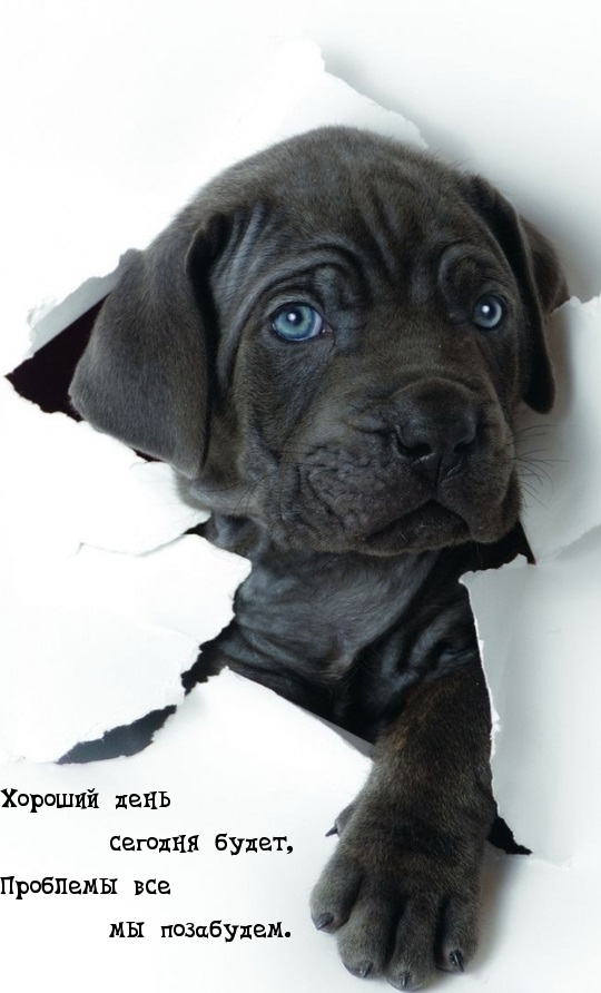 ������� ���� ������� �����