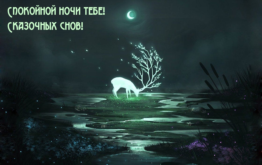 Спокойной ночи тебе! Сказочных снов!