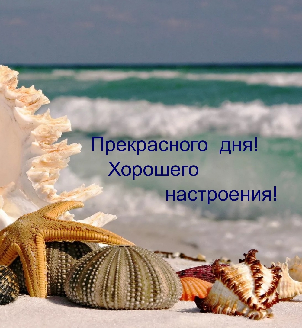 Открыть в полном размере Прекрасного дня! Хорошего настроения!