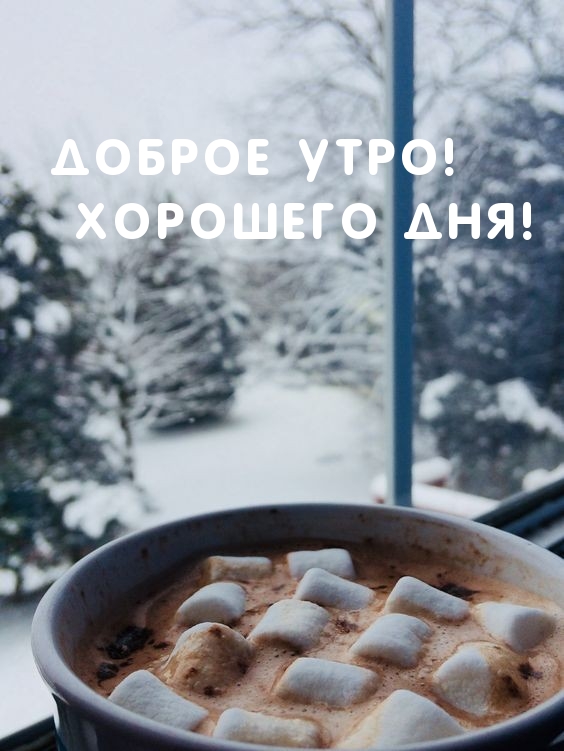 ������ ����! �������� ���!