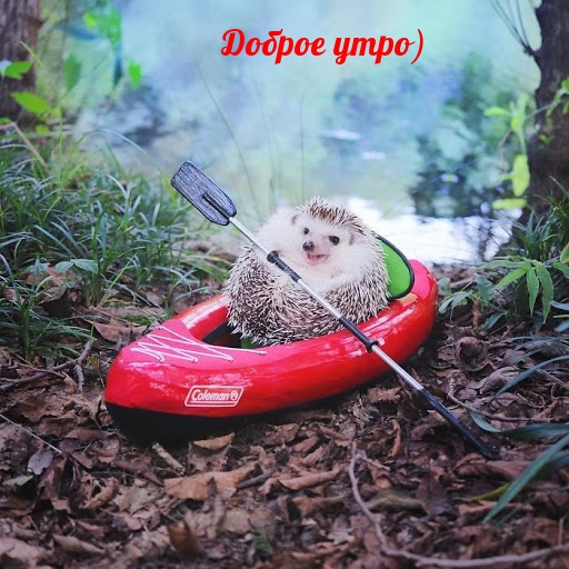  )