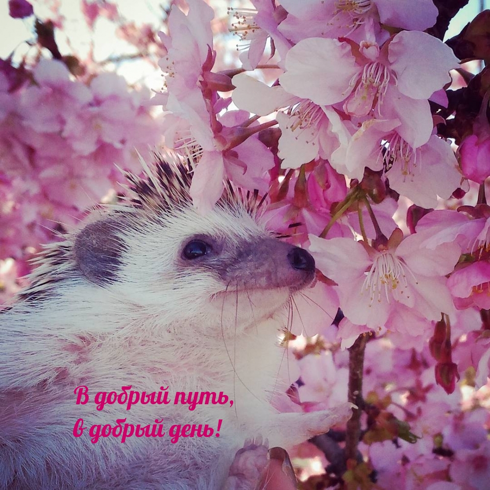   ,   !