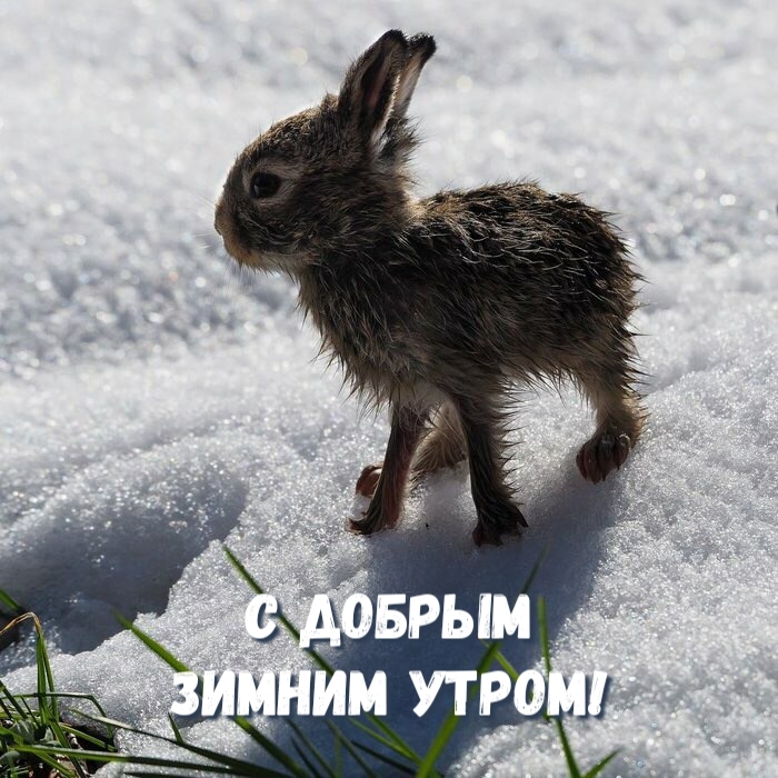    !