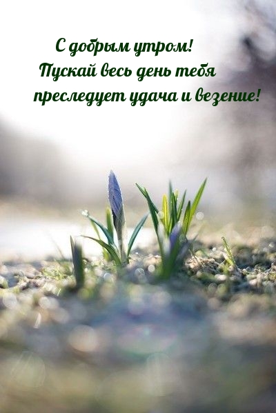 ������ ���� ���� ���� ���������� ����� � �������!