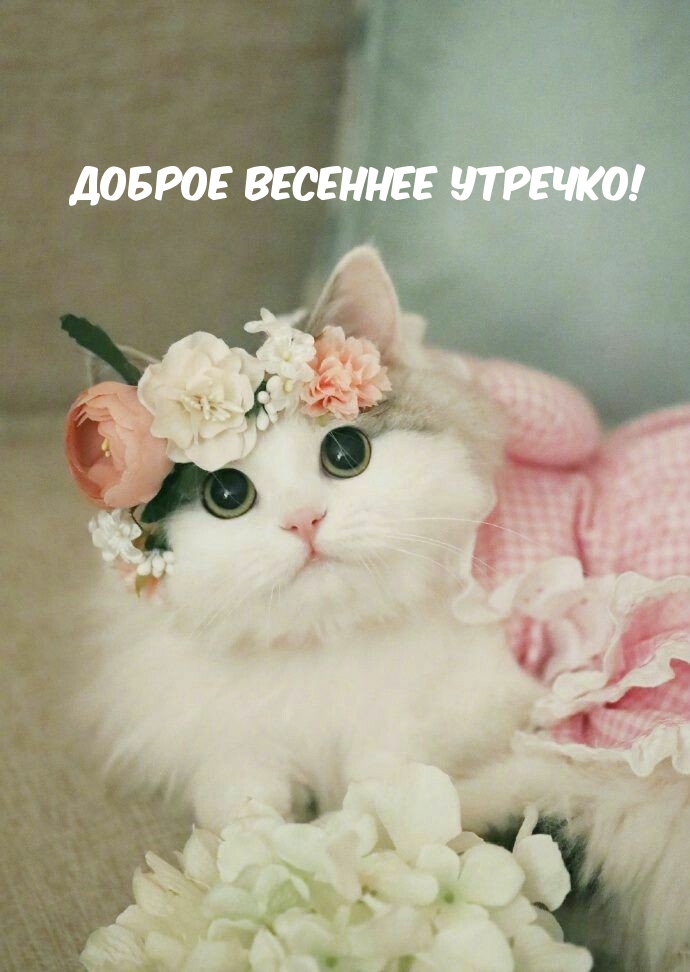   !
