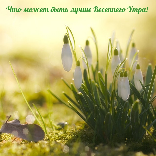 Что может быть лучше Весеннего Утра! Что может быть лучше Весеннего Утра!