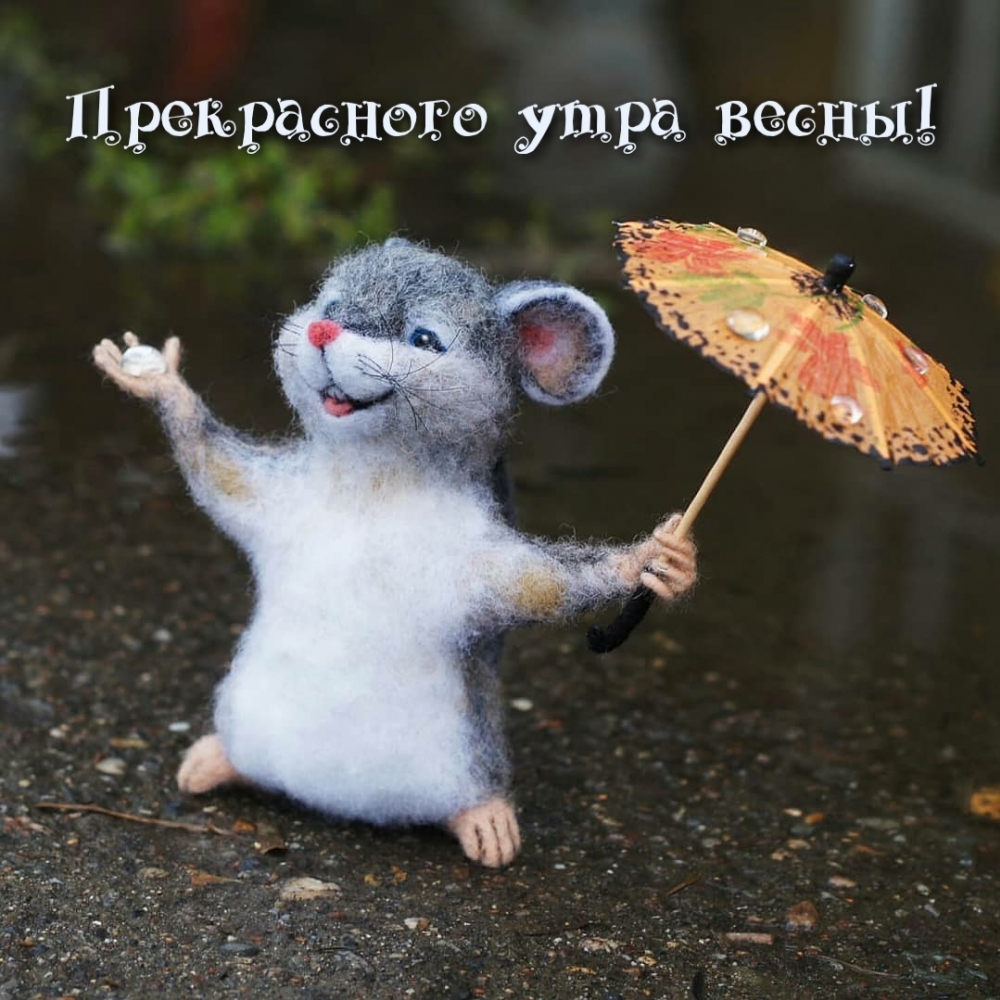   !