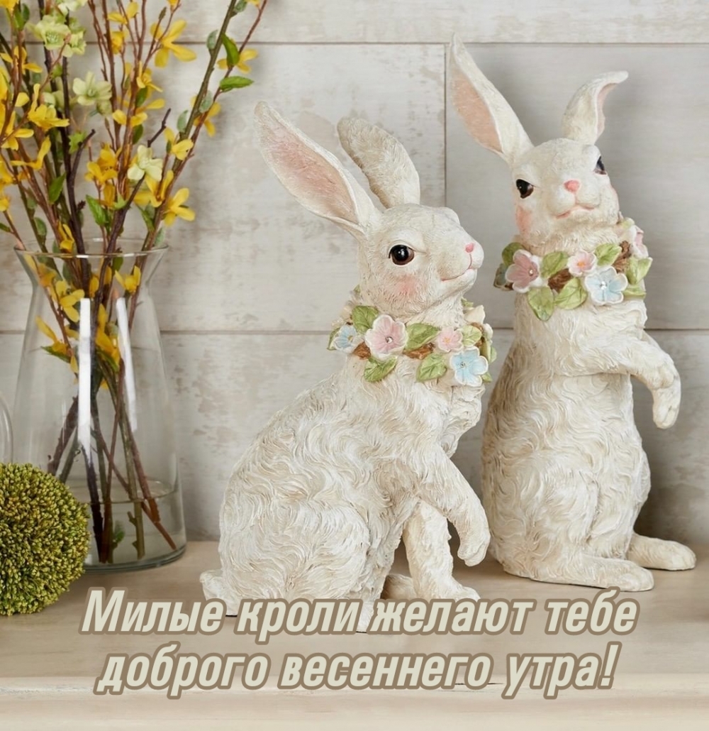 Милые кроли желают тебе доброго весеннего утра! Милые кроли желают тебе доброго весеннего утра!