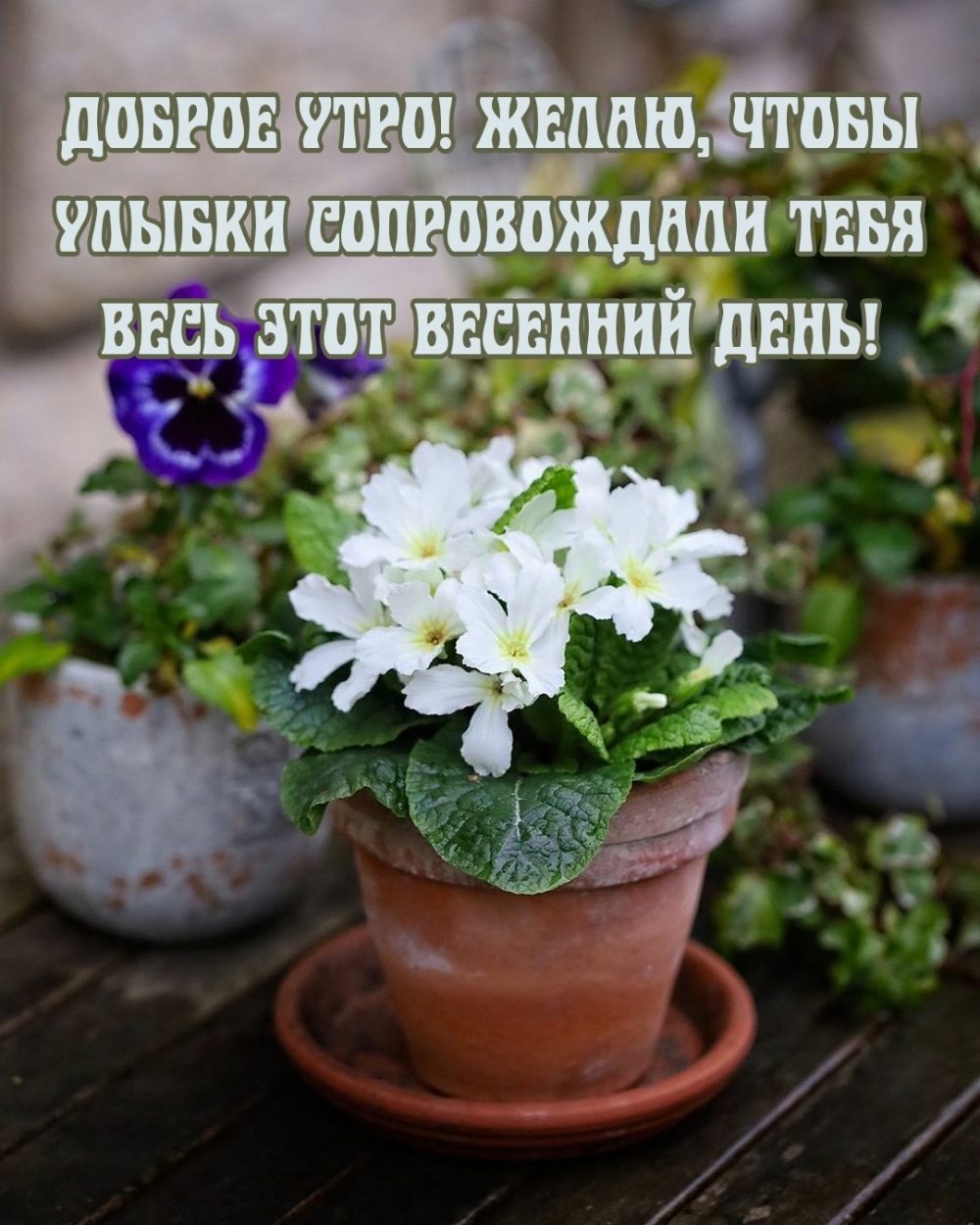 ,        !