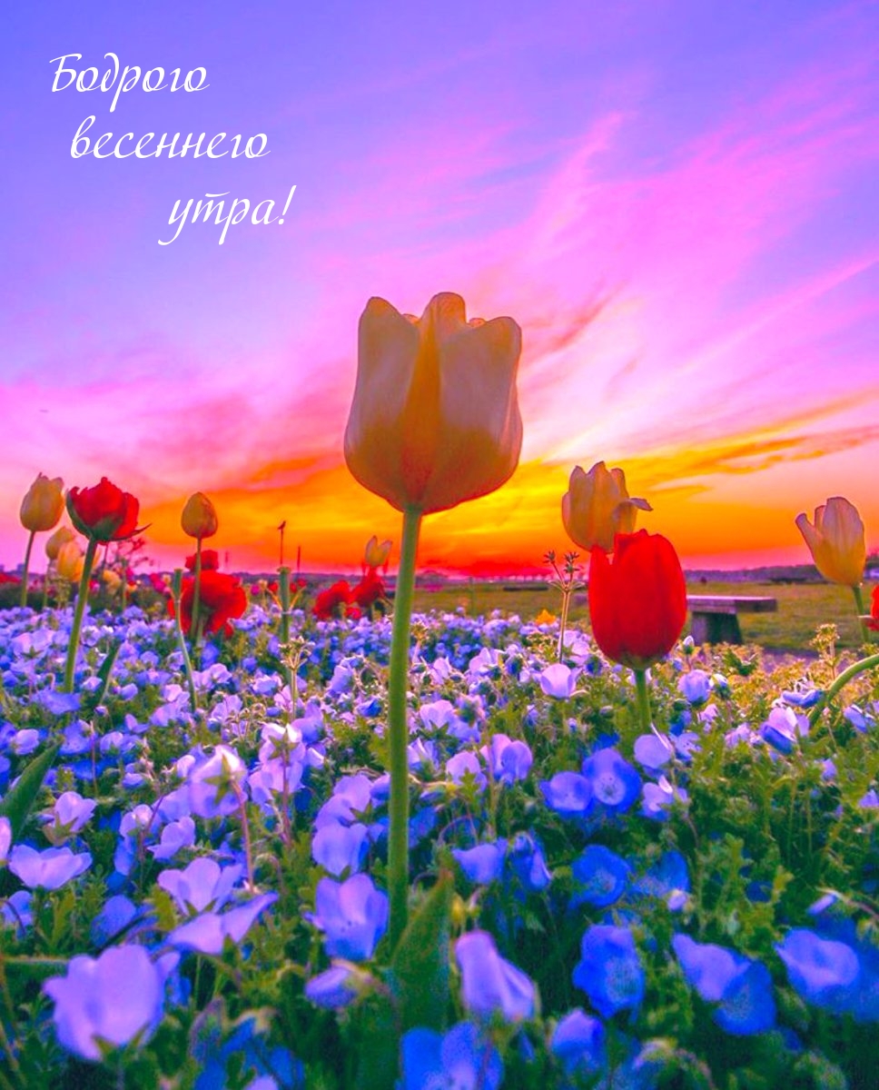 ������� ��������� ����!