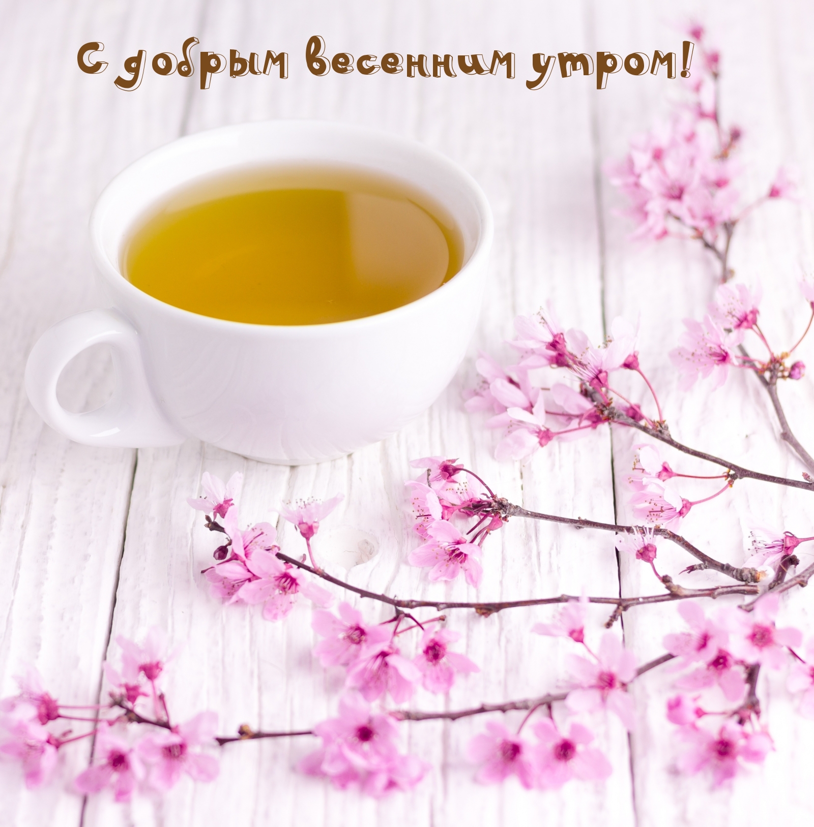 С добрым весенним утром! С добрым весенним утром!