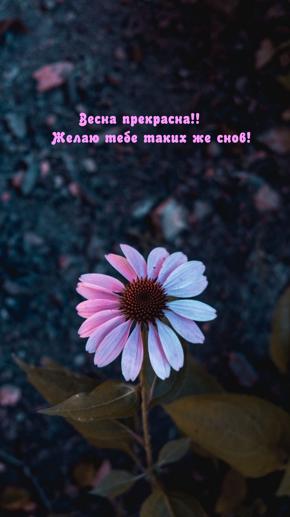  !     !